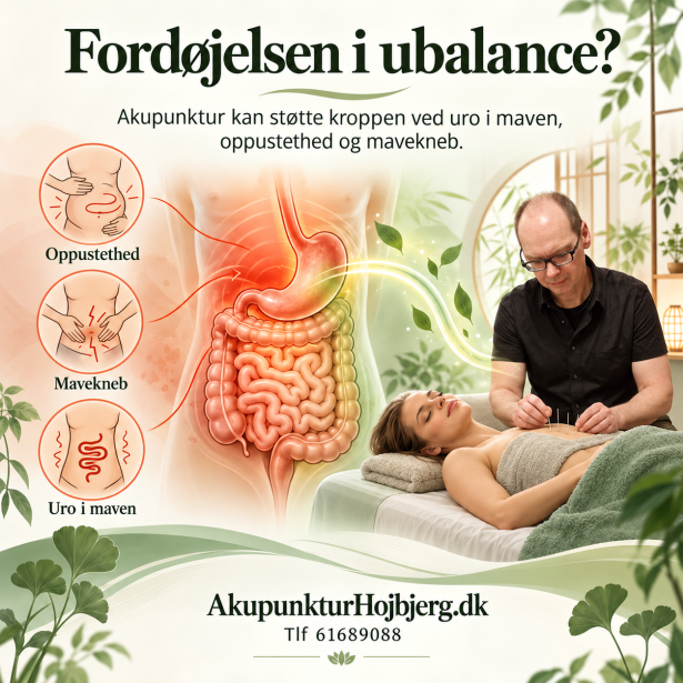 Fordøjelsen i balance med akupunktur